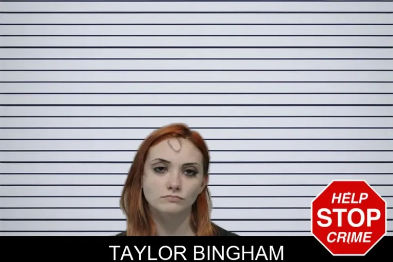 Taylor Bingham mugshot – Bibb County , Georgia Taylor Bingham