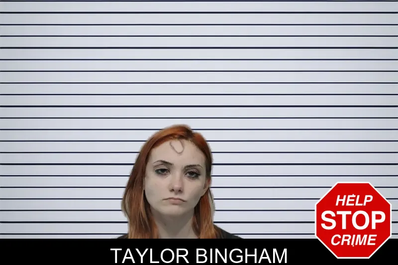 Taylor Bingham mugshot – Bibb County , Georgia Taylor Bingham mugshot
