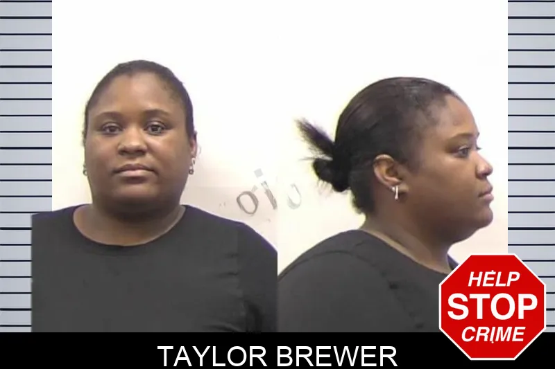 Taylor Brewer mugshot