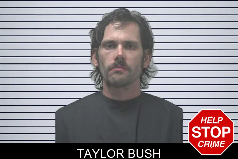 Taylor Bush mugshot