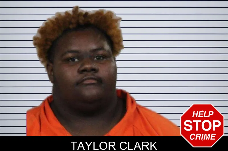 Taylor Clark mugshot