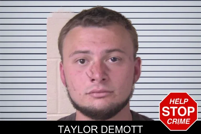 Taylor Demott mugshot – Walker County , Georgia Taylor Demott
