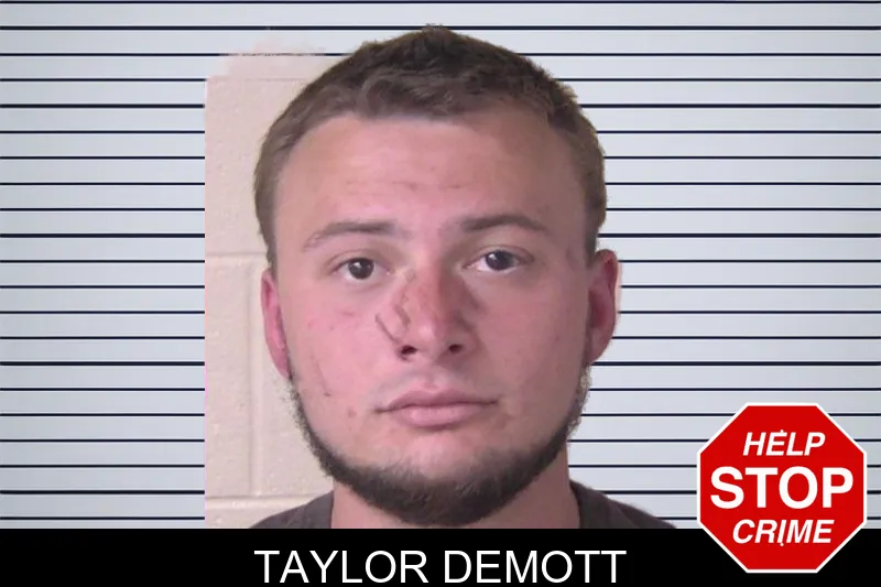 Taylor Demott mugshot