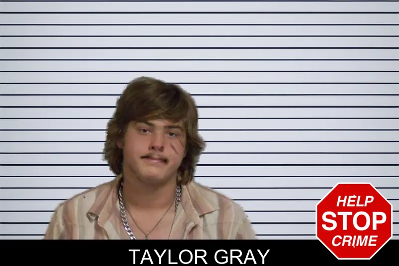 Taylor Gray mugshot – Candler County , Georgia Taylor Gray mugshot