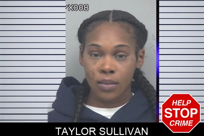 Taylor Sullivan mugshot