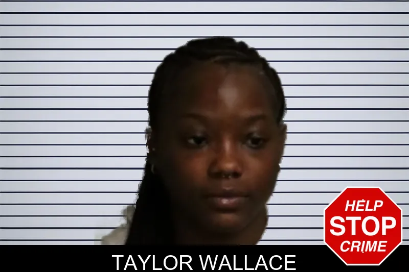Taylor Wallace mugshot – Forsyth County , Georgia Taylor Wallace mugshot