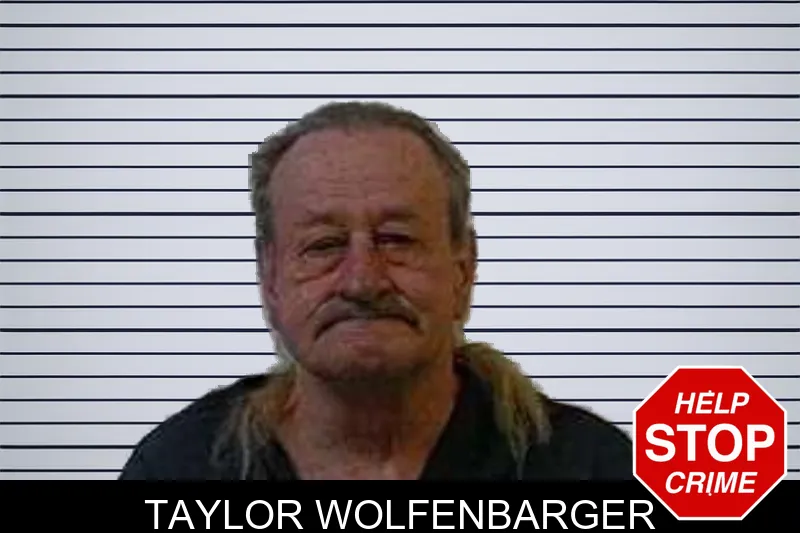 Taylor Wolfenbarger mugshot