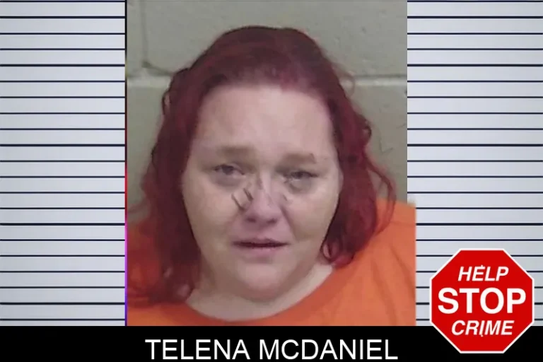 Telena McDaniel mugshot – Wayne County , Georgia Telena McDaniel