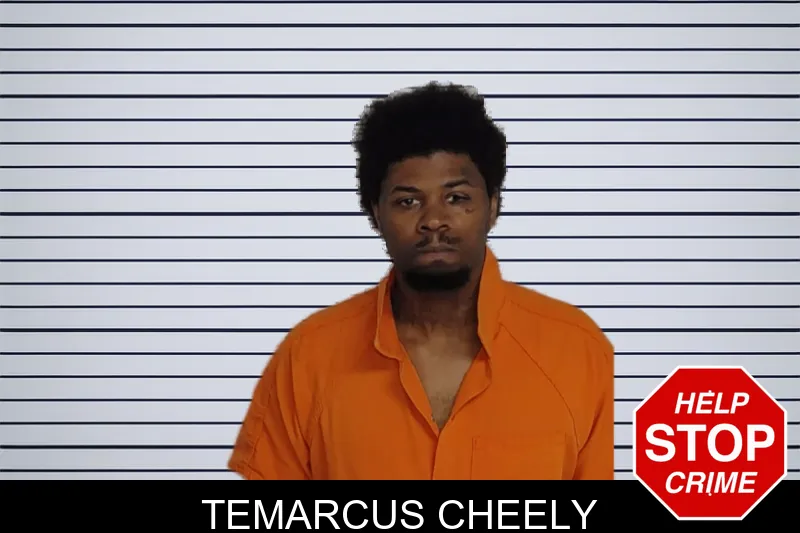 Temarcus Cheely mugshot