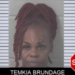Temkia Brundage mugshot – Newton County , Georgia Temkia Brundage mugshot