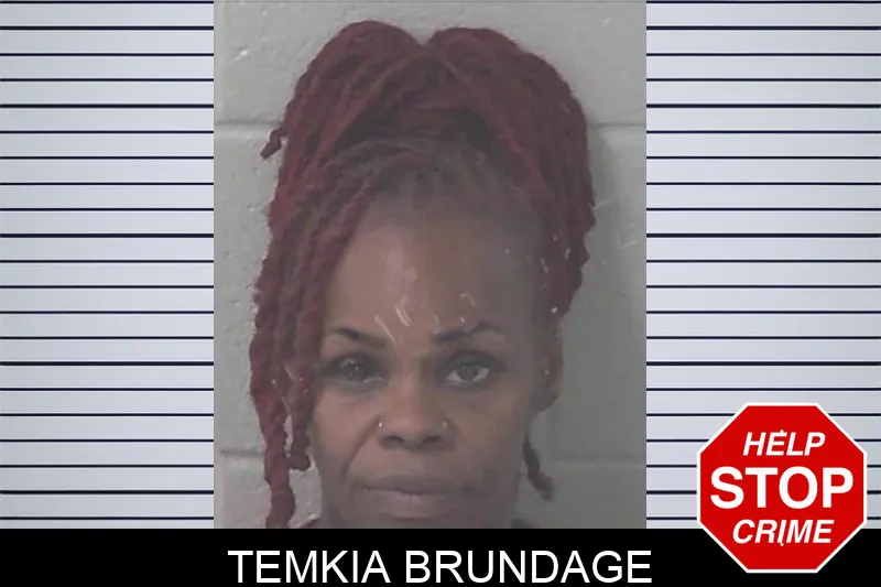 Temkia Brundage mugshot – Newton County , Georgia Temkia Brundage mugshot