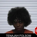 Tenajah Folsom mugshot – Laurens County , Georgia Tenajah Folsom mugshot