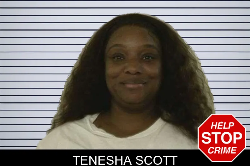 Tenesha Scott mugshot – Liberty County , Georgia Tenesha Scott mugshot