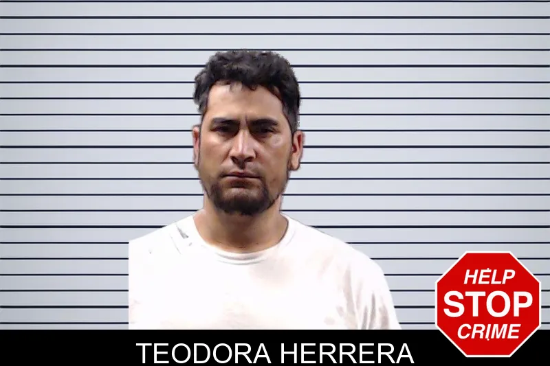 Teodora Herrera mugshot