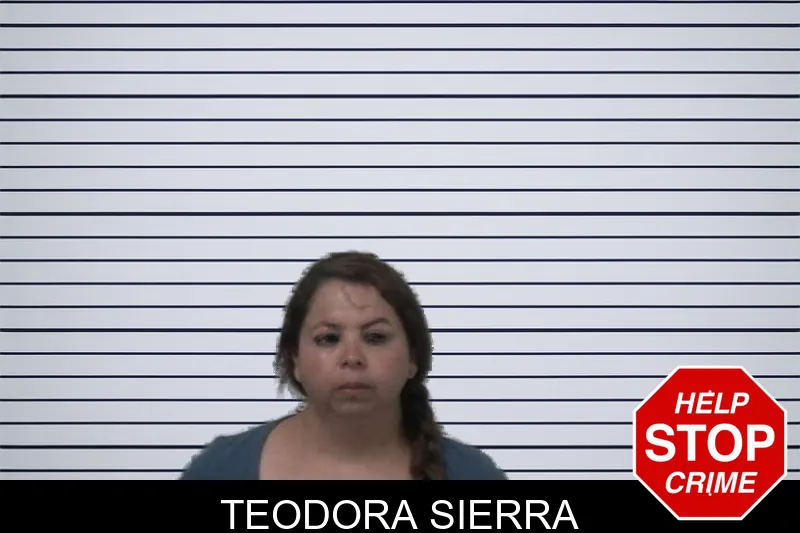 Teodora Sierra mugshot – Sumter County , Georgia Teodora Sierra mugshot