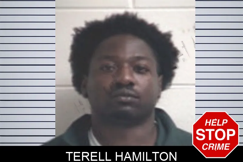 Terell Hamilton mugshot