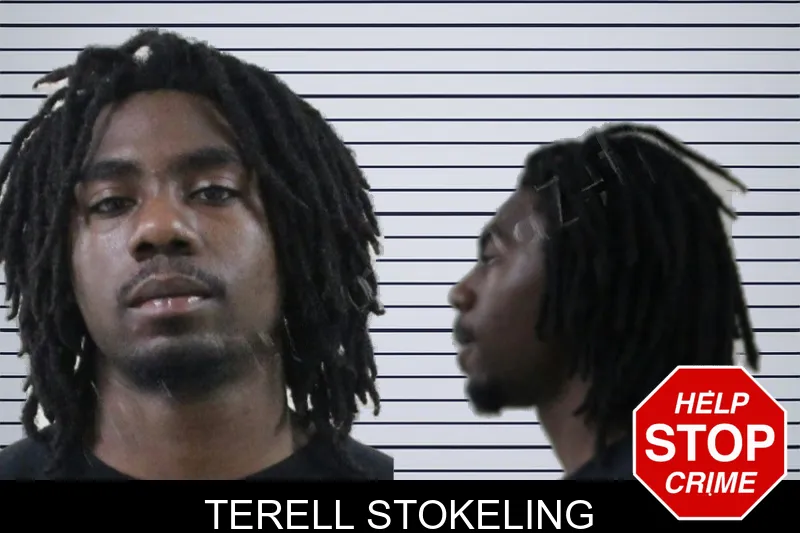 Terell Stokeling mugshot