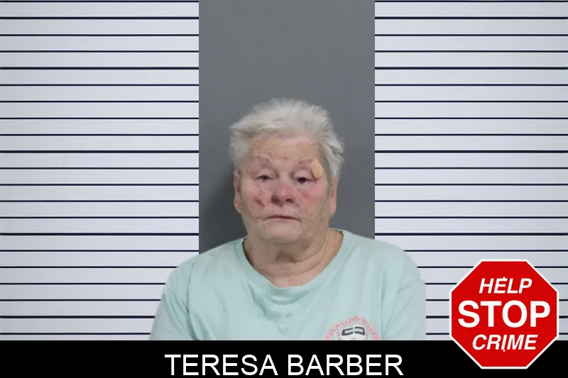 Teresa Barber mugshot – Catoosa County , Georgia Teresa Barber mugshot