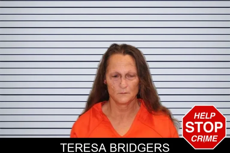 Teresa Bridgers