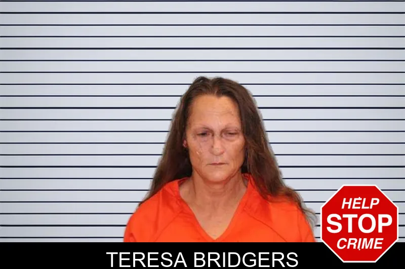 Teresa Bridgers mugshot