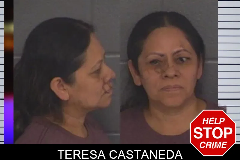 Teresa Castaneda mugshot