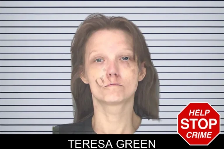 Teresa Green mugshot – Douglas County , Georgia Teresa Green