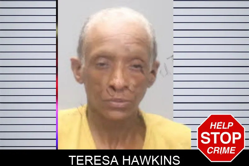 Teresa Hawkins mugshot – Muscogee County , Georgia Teresa Hawkins mugshot