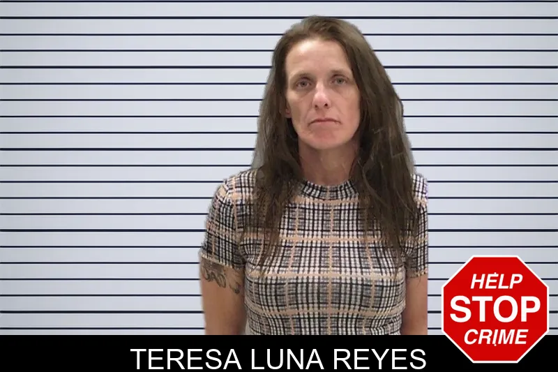 Teresa Luna Reyes mugshot
