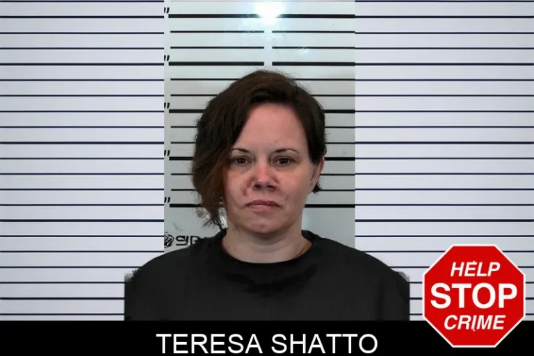 Teresa Shatto