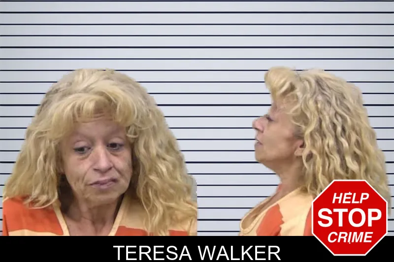 Teresa Walker mugshot
