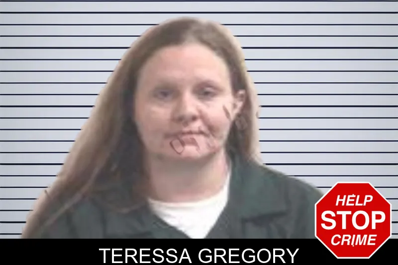 Teressa Gregory mugshot – Henry County , Georgia Teressa Gregory mugshot