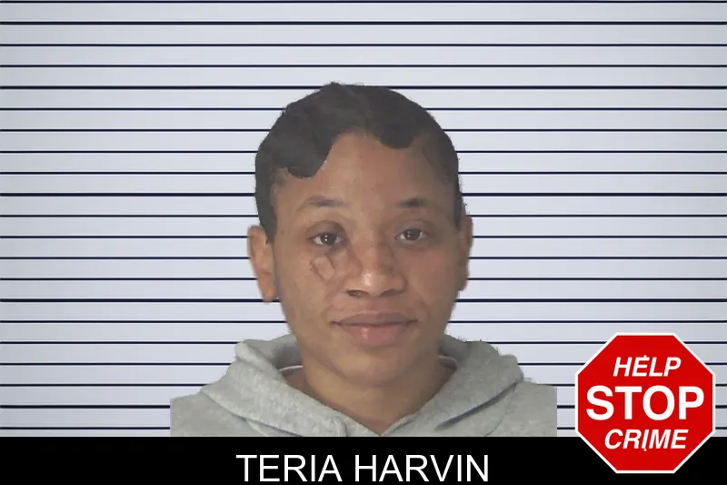 Teria Harvin mugshot – Douglas County , Georgia Teria Harvin mugshot