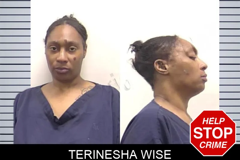 Terinesha Wise mugshot – Clarke County , Georgia Terinesha Wise mugshot