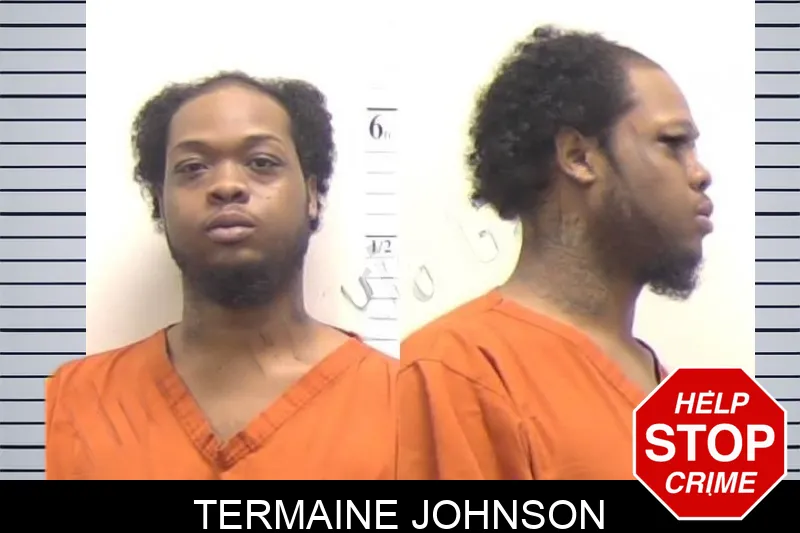 Termaine Johnson mugshot