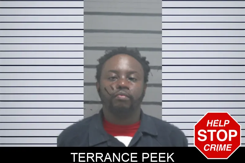 Terrance Peek mugshot – Dougherty County , Georgia Terrance Peek mugshot