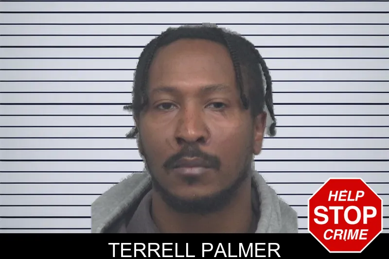 Terrell Palmer mugshot