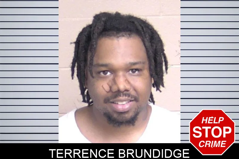 Terrence Brundidge mugshot