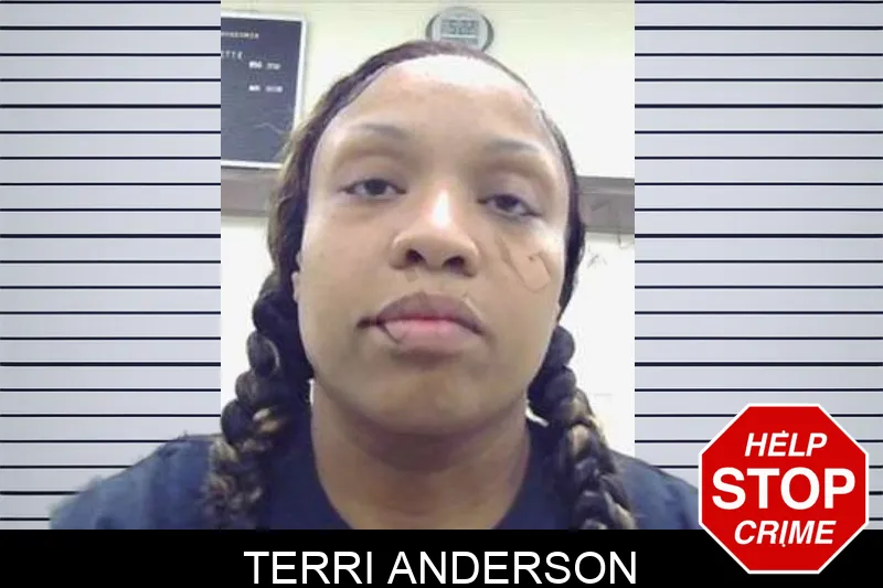 Terri Anderson mugshot
