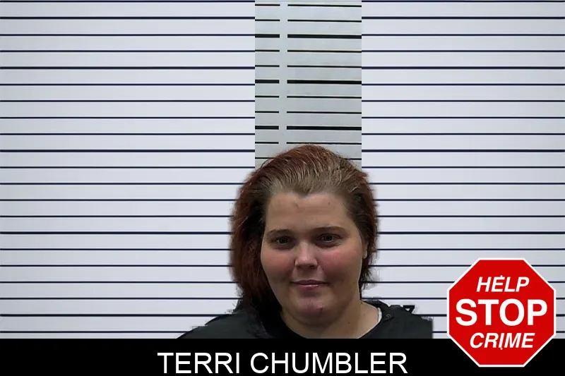 Terri Chumbler mugshot