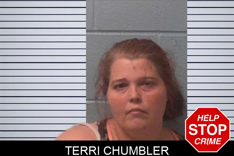 Terri Chumbler mugshot