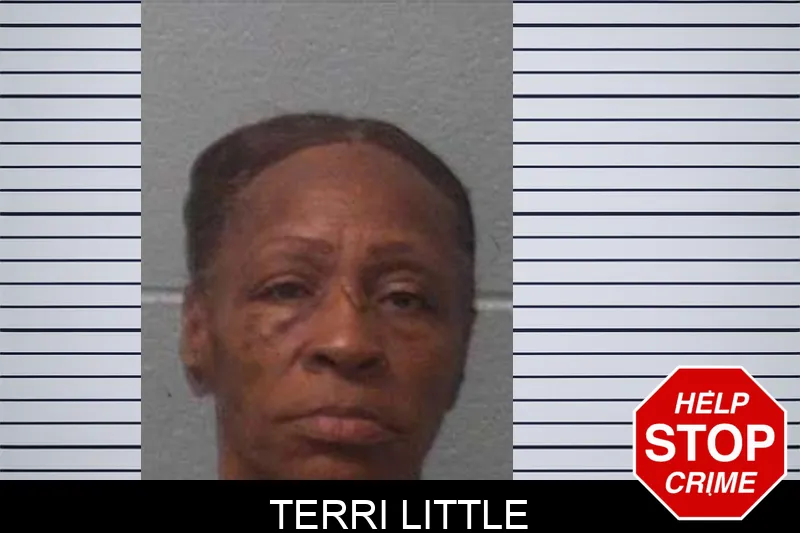 Terri Little mugshot