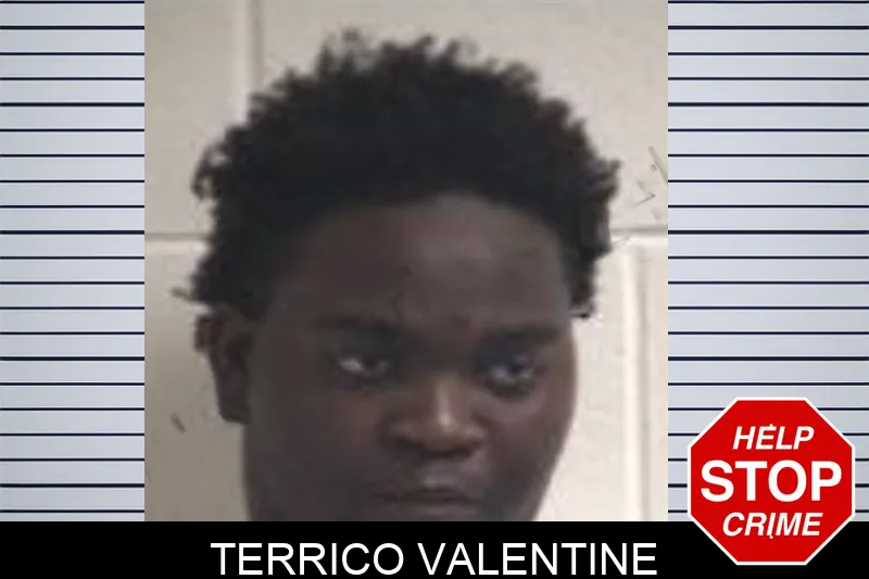 Terrico Valentine mugshot – Henry County , Georgia Terrico Valentine mugshot