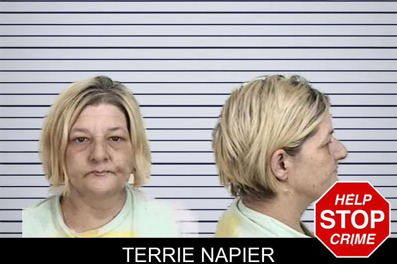 Terrie Napier mugshot