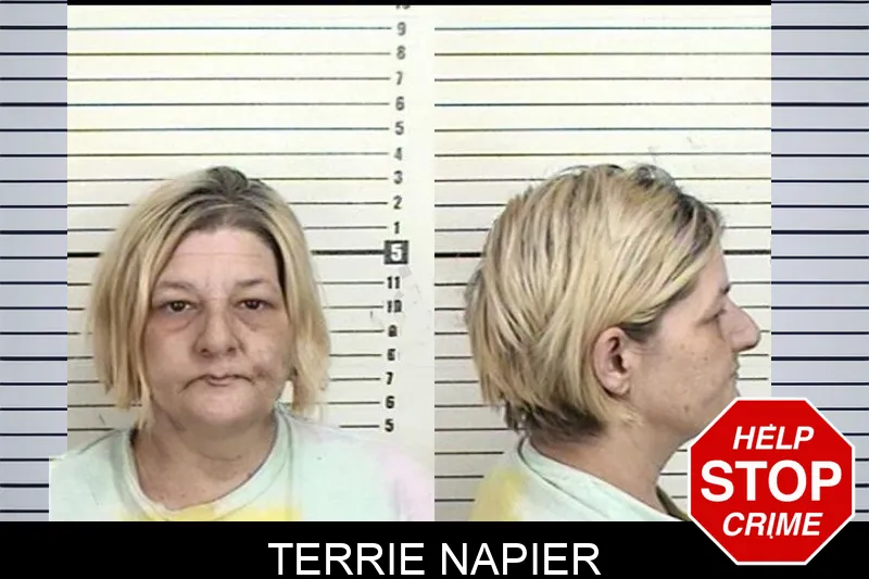 Terrie Napier mugshot
