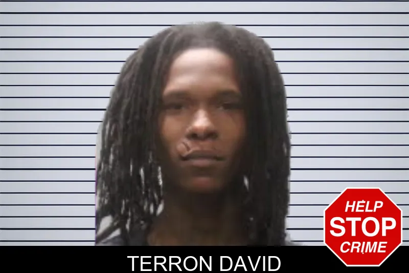 Terron David mugshot