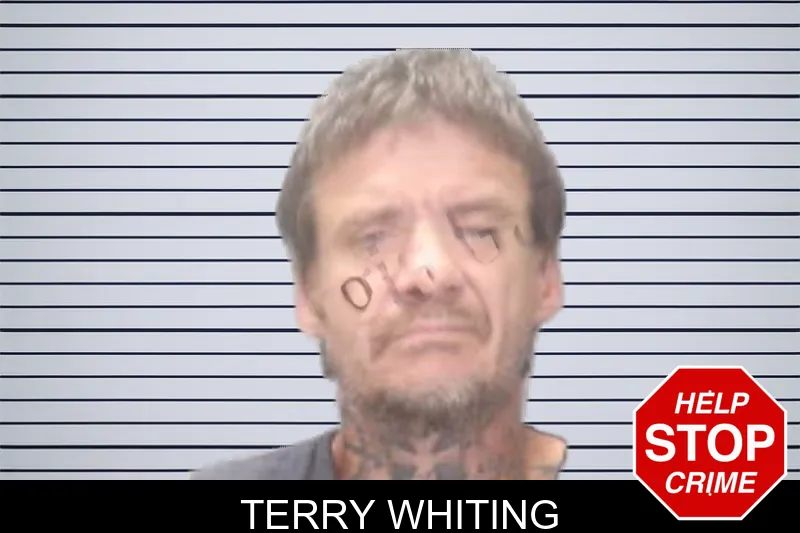 Terry Whiting mugshot