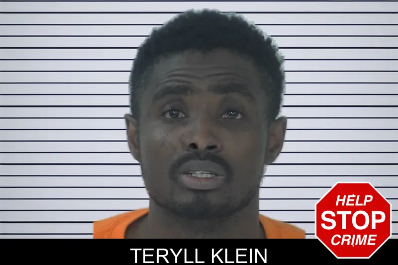 Teryll Klein mugshot