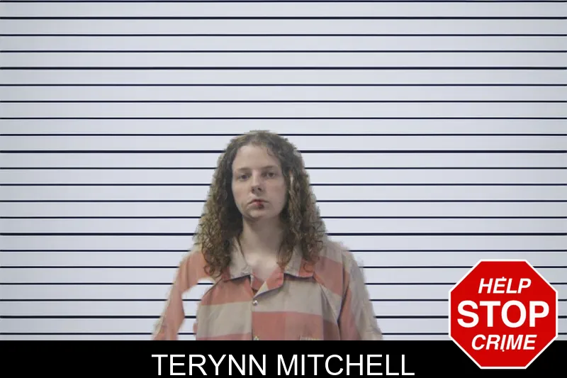 Terynn Mitchell mugshot