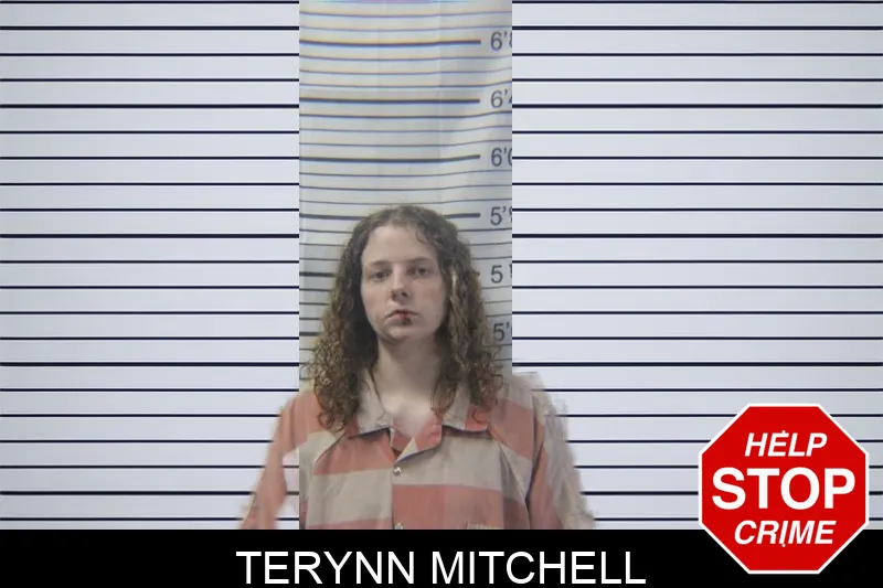 Terynn Mitchell mugshot