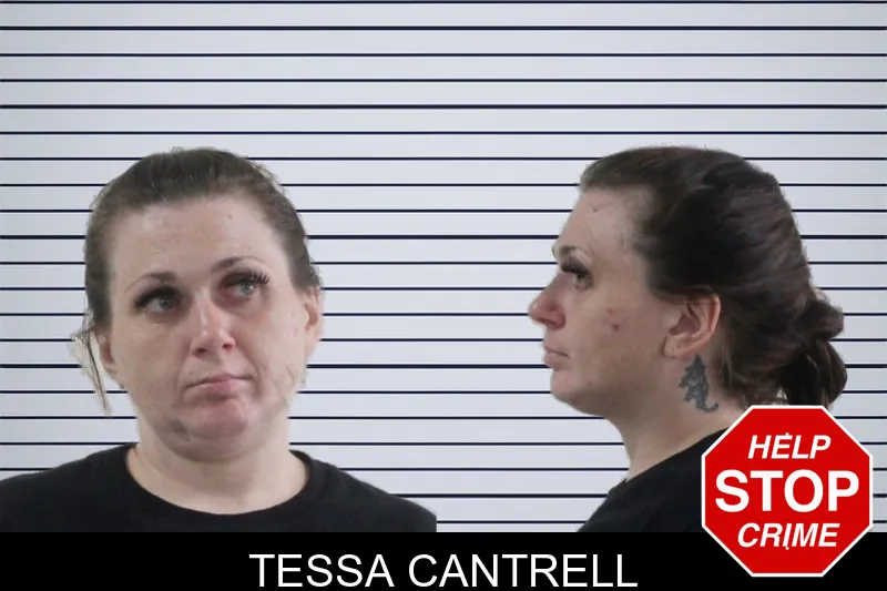 Tessa Cantrell mugshot